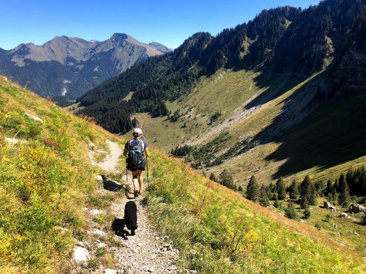 'Petite Ferme Les Bouts' Apartment, Sleeps 6, Nr Morzine La Cote d'Arbroz Exterior photo