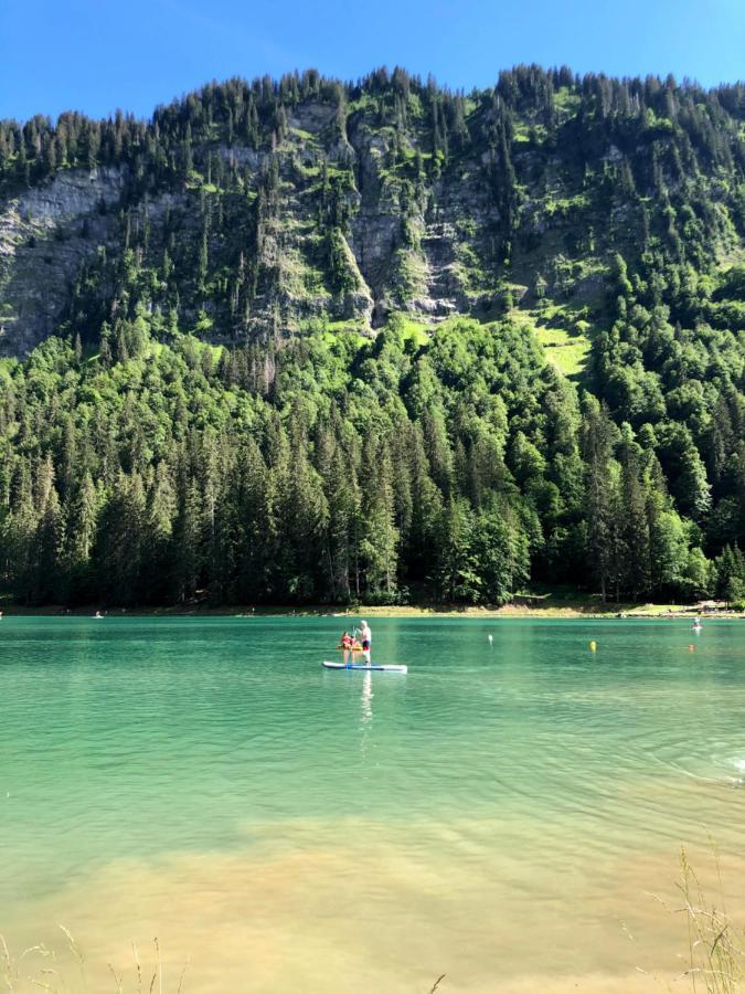 'Petite Ferme Les Bouts' Apartment, Sleeps 6, Nr Morzine La Cote d'Arbroz Exterior photo
